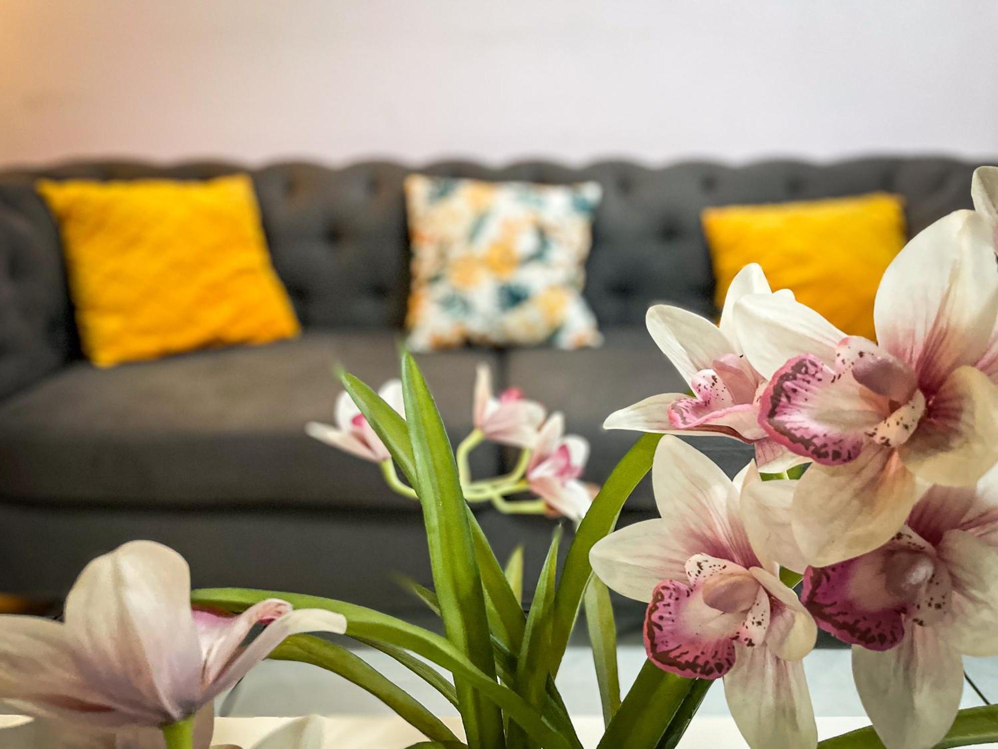 Hostal De Lucca Guatemala City Екстериор снимка